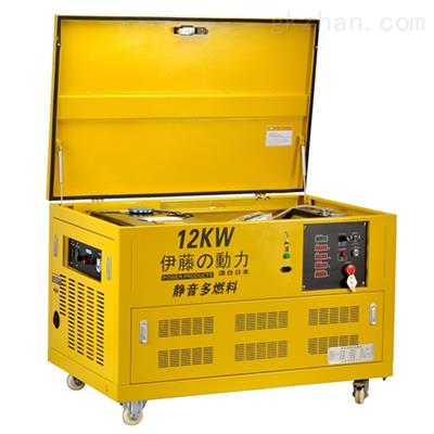 三相汽油发电机YT12RGF