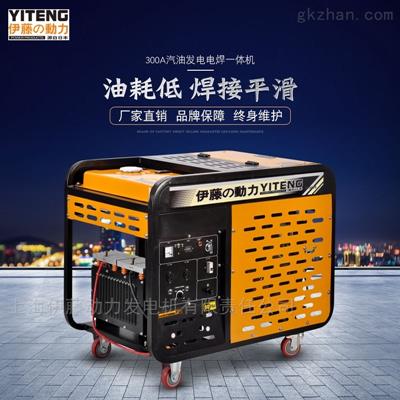 YT300EW野外应急发电焊机6.0焊条