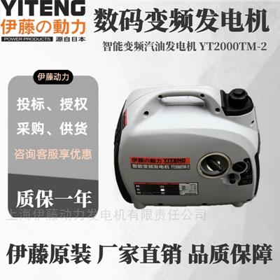 YT2000TM-2小型露营用汽油发电机