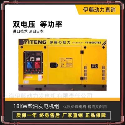 YT18000TES双缸柴油发电机