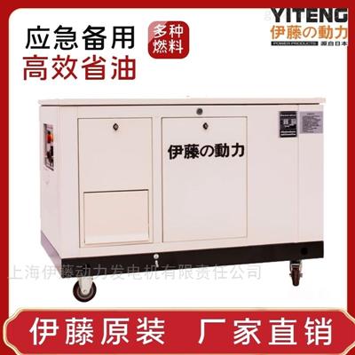 YT25RSE-ATS市电感应燃气发电机