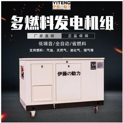 15KW全自动汽油发电机YT15RSE-ATS