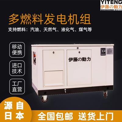 移动式应急发电机YT15RSE-ATS