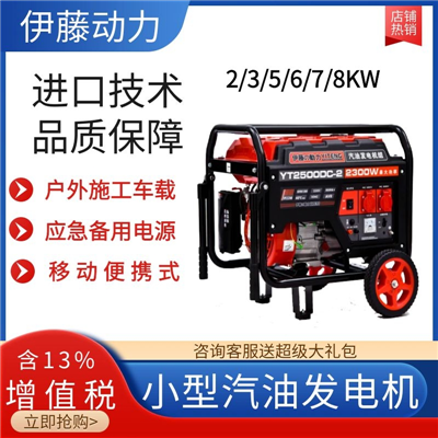 2KW手启动汽油发电机YT2500DC-2