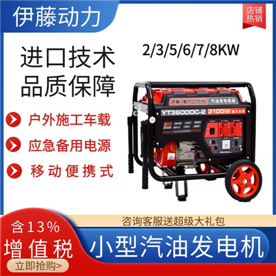 3KW移动手推汽油发电机YT3600DC-2