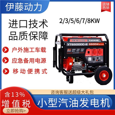 5KW手启动汽油发电机YT6500DC-2