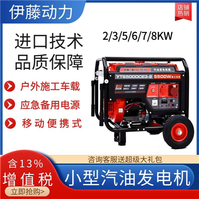 5KW开架式汽油发电机YT6500DCE3-2